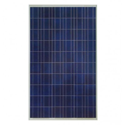 Sunowe 240W poly