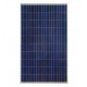 Sunowe 240W poly